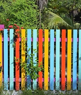 Fence Painting