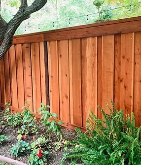Staining